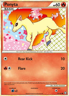 Ponyta