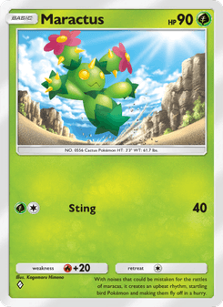 Maractus