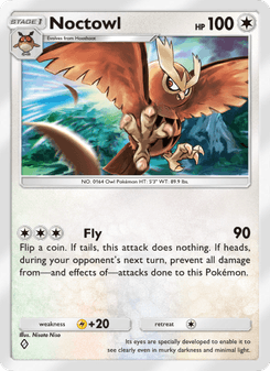 Noctowl