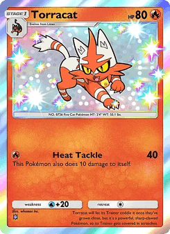 Torracat