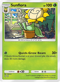 Sunflora